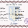 Authentic Ukraine Birth Certificate Template | Customize and Download Online