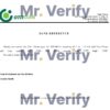 Download Ukraine OTP Bank Reference Letter Templates | Editable Word