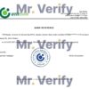 Download Ukraine OTP Bank Reference Letter Templates | Editable Word