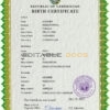 Authentic Uzbekistan Birth Certificate Template | Customize and Download Online