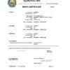 Authentic Uzbekistan Birth Certificate Template | Customize and Download Online