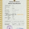 Authentic Vanuatu Birth Certificate Template | Customize and Download Online