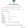 Authentic Venezuela Birth Certificate Template | Customize and Download Online