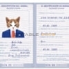 Venezuela cat Fake PSD Passport | Instant Download