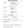 Authentic Yemen Birth Certificate Template | Customize and Download Online