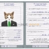 Yemen cat Fake PSD Passport | Instant Download
