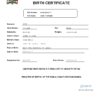 Authentic Zambia Birth Certificate Template | Customize and Download Online