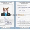 Zimbabwe cat Fake PSD Passport | Instant Download