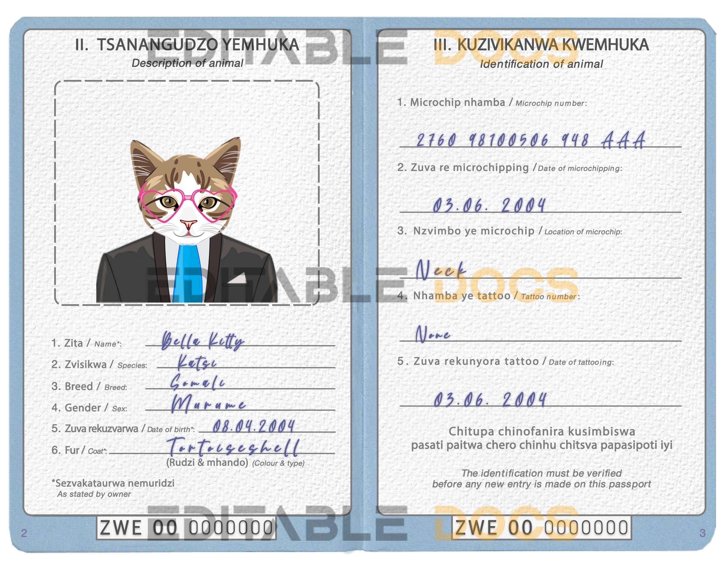 Zimbabwe cat Fake PSD Passport | Instant Download