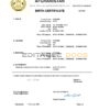 Authentic Afghanistan Birth Certificate Template | Customize and Download Online