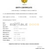 Authentic Andorra Birth Certificate Template | Customize and Download Online