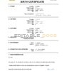 Authentic Angola Birth Certificate Template | Customize and Download Online