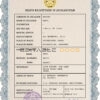 Customizable Afghanistan Death Certificate PSD Templates | Instant Download