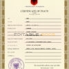 Customizable Albania Death Certificate PSD Templates | Instant Download