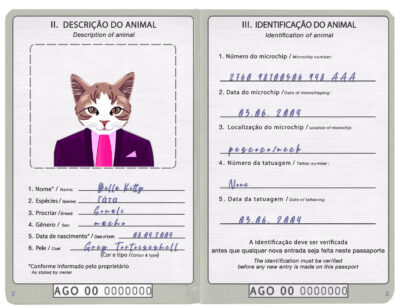 Angola cat Fake PSD Passport | Instant Download