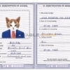 Antigua and Barbuda cat Fake PSD Passport | Instant Download
