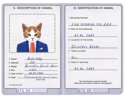 Antigua and Barbuda cat Fake PSD Passport | Instant Download