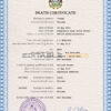 Customizable Antigua and Barbuda Death Certificate PSD Templates | Instant Download