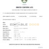 Authentic Argentina Birth Certificate Template | Customize and Download Online