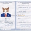 Argentina cat Fake PSD Passport | Instant Download