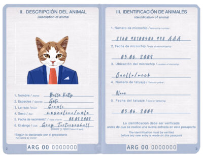 Argentina cat Fake PSD Passport | Instant Download