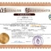Argentina Marriage Certificate | Editable PDF Templates