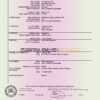 Fillable Australia New South Wales Death PDF Templates | Blank Docs