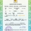 Authentic Barbados Birth Certificate Template | Customize and Download Online