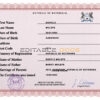 Authentic Botswana Birth Certificate Template | Customize and Download Online