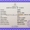 Authentic Burkina Faso Birth Certificate Template | Customize and Download Online