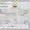 Authentic Eritrea Birth Certificate Template | Customize and Download Online