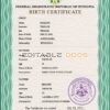 Authentic Ethiopia Birth Certificate Template | Customize and Download Online