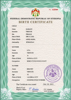 Authentic Ethiopia Birth Certificate Template Customize and Download Online
