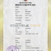 Authentic France Birth Certificate Template | Customize and Download Online
