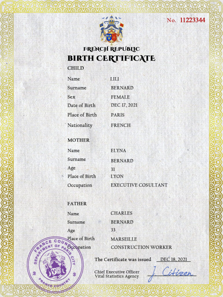 Authentic France Birth Certificate Template Customize and Download Online