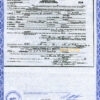 Authentic USA Arkansas Birth Certificate Template | Customize and Download Online
