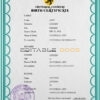Authentic action universal Birth Certificate PSD Template | Customize and Download Online
