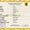 Authentic birthverse universal Birth Certificate PSD Template | Customize and Download Online