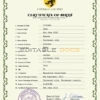 Authentic foster universal Birth Certificate PSD Template | Customize and Download Online