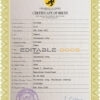 Authentic praise universal Birth Certificate PSD Template | Customize and Download Online
