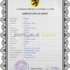 Authentic trident universal Birth Certificate PSD Template | Customize and Download Online