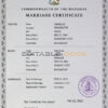 Bahamas Marriage Certificate | Editable PSD Templates