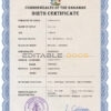 Authentic Bahamas Birth Certificate Template | Customize and Download Online