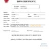 Authentic Bahrain Birth Certificate Template | Customize and Download Online