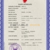 Customizable Bahrain Death Certificate PSD Templates | Instant Download