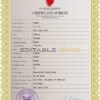 Authentic Bahrain Birth Certificate Template | Customize and Download Online