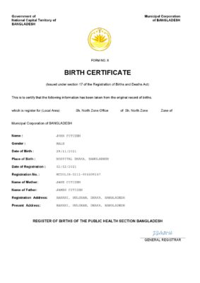 Bangladesh vital record birth certificate Word and PDF template, fully editable