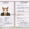 Bangladesh cat Fake PSD Passport | Instant Download