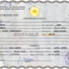Authentic Bangladesh Birth Certificate Template | Customize and Download Online