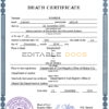 Customizable Bangladesh Death Certificate PSD Templates | Instant Download